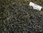 Grüntee Japan Sencha